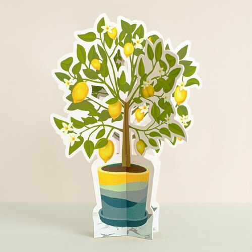 Lemon Tree Paper Plant 1
